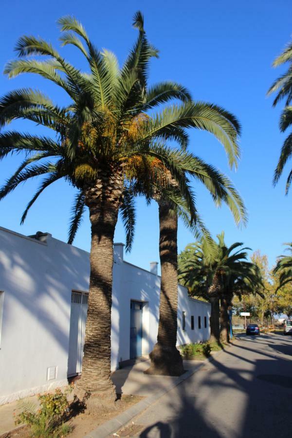 Lo Segador Country house El Poblenou del Delta